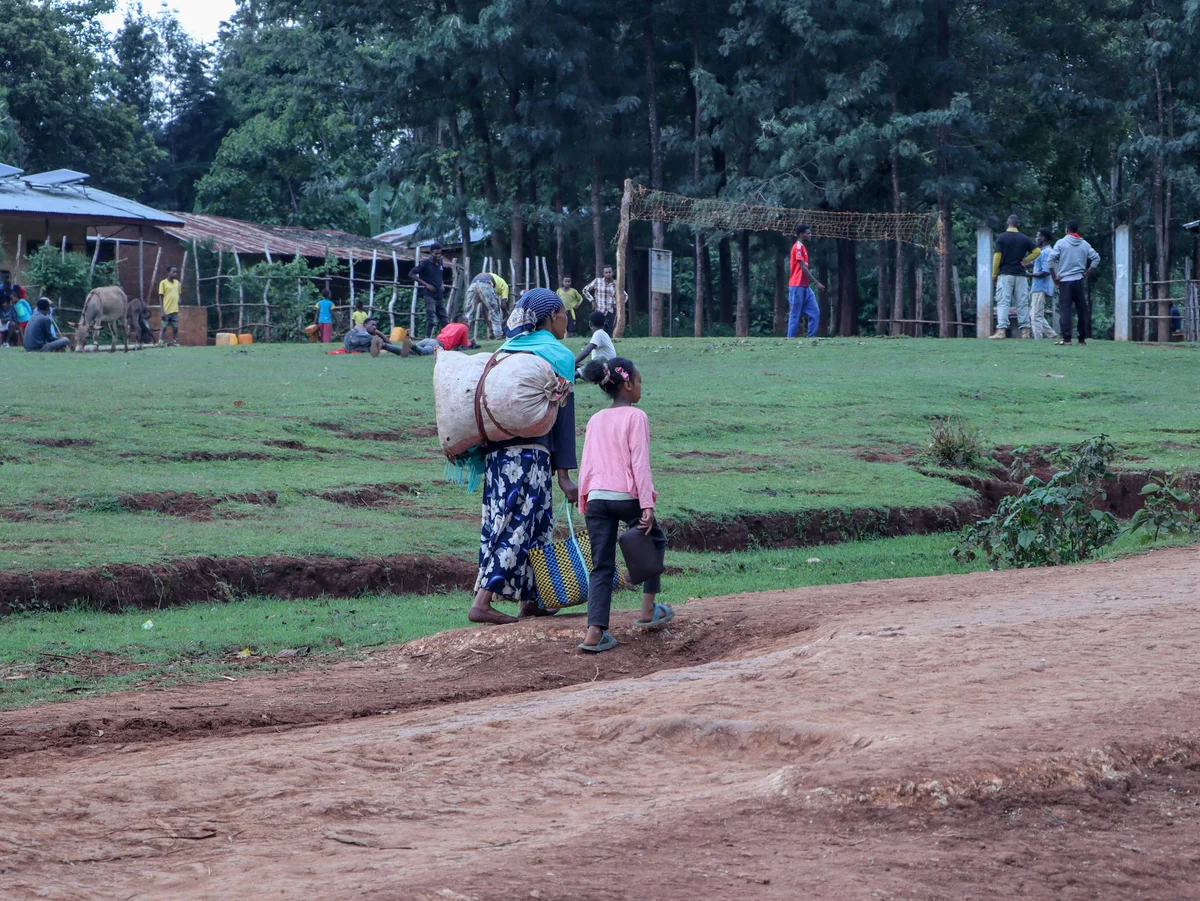 Breaking Barriers, Building Futures